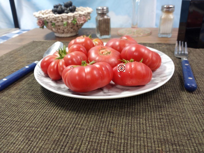 A Productive Heirloom Tomato Bali Tomato Seeds Available Here.