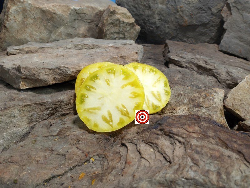 An Excellent Slicing Tomato Amazing Yellow Tomato Seeds Available Here.