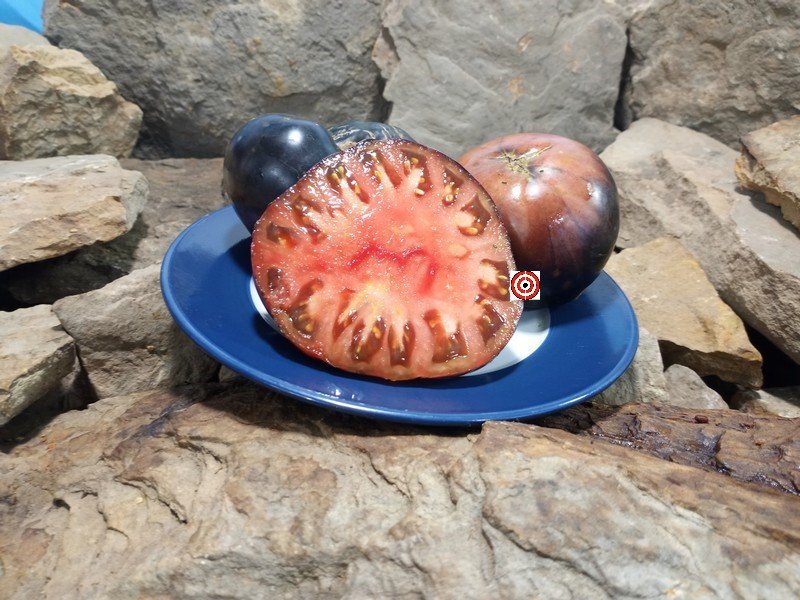 The Best Blue Tomato Avemon Apgye Tomato Seeds Available Here.
