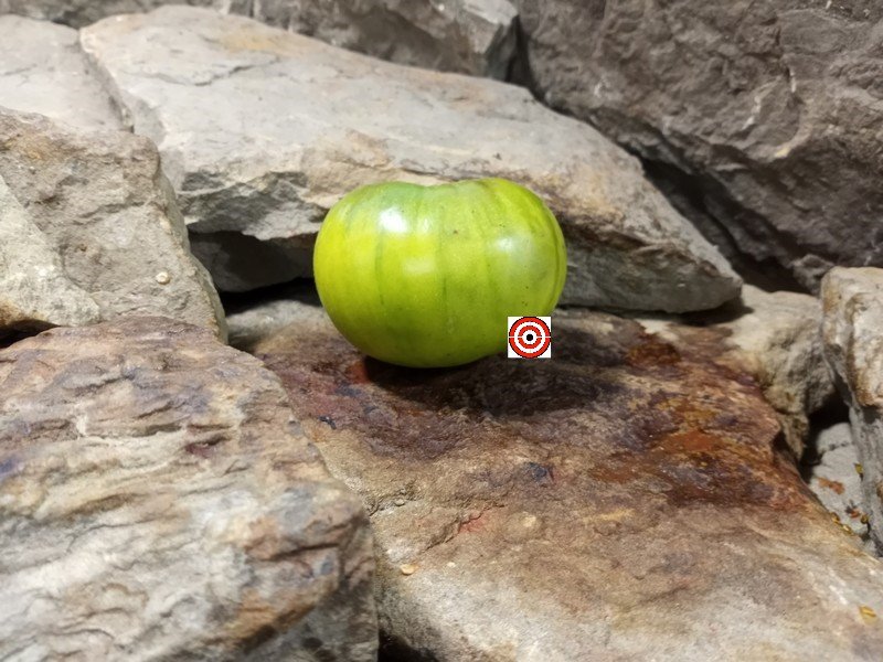 The Best Sandwich Tomato Aunt Ruby's German Green Tomato Seeds Available Here.