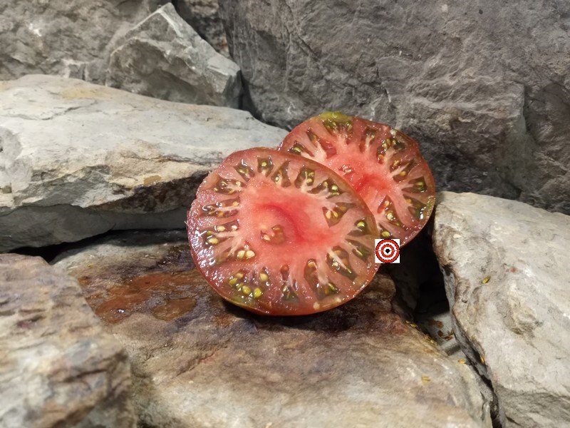 A Popular Rare Tomato Black Mammoth Tomato Seeds For Sale Here.