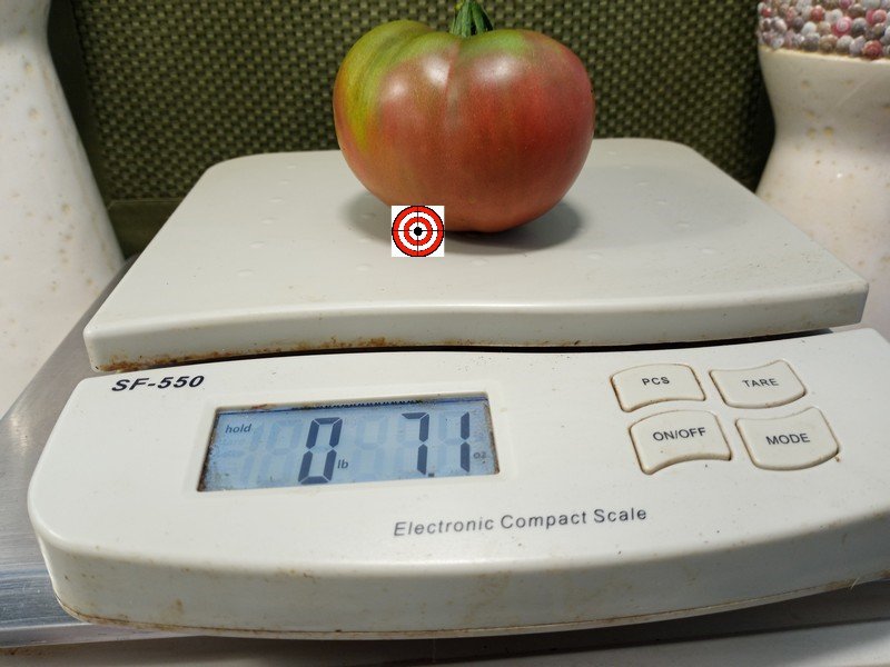A Popular Slicing Tomato Black Milo Tomato Seeds For Sale Here.