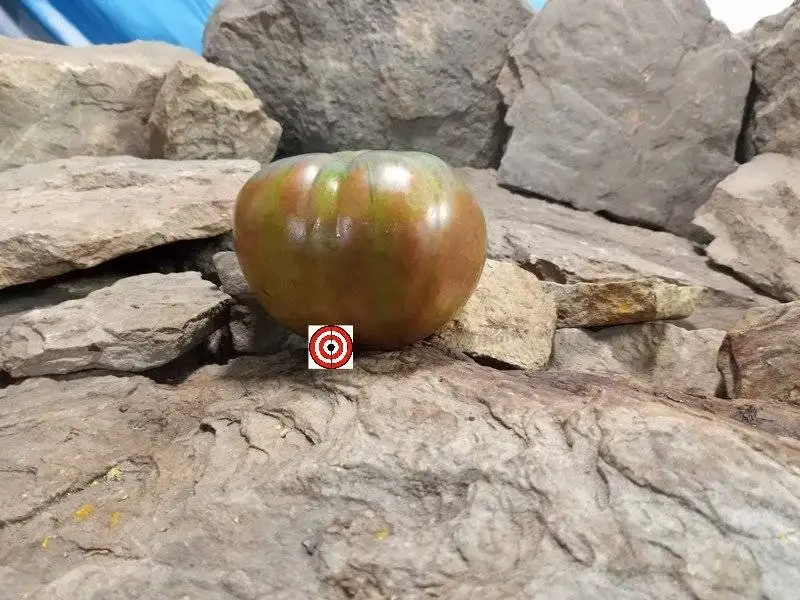 The Best Black Sandwich Tomato Black Heart of Delirium Tomato Seeds Available Here.