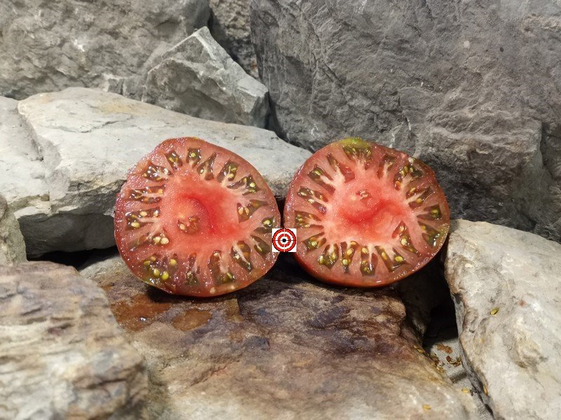 The Best Sandwich Tomato Black Mammoth Tomato Seeds Available Here.