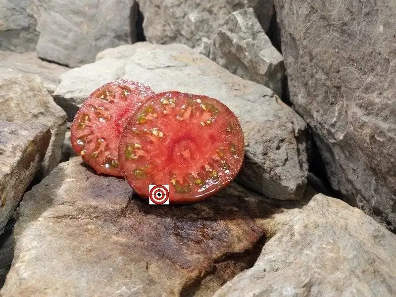 The Best Sandwich Tomatoes Black Elephant Tomato Seeds Available Here.