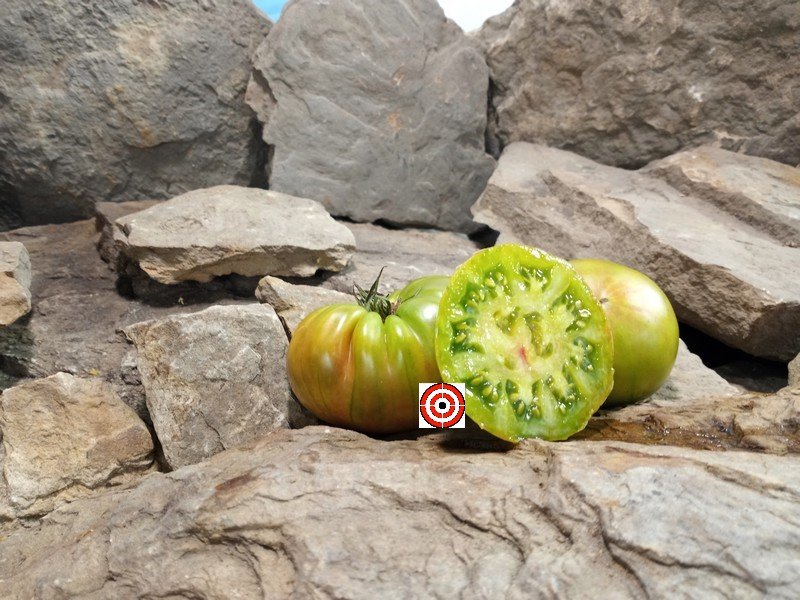 A Popular Beef Steak Tomato Copper River Tomato Seeds For Sale Here.