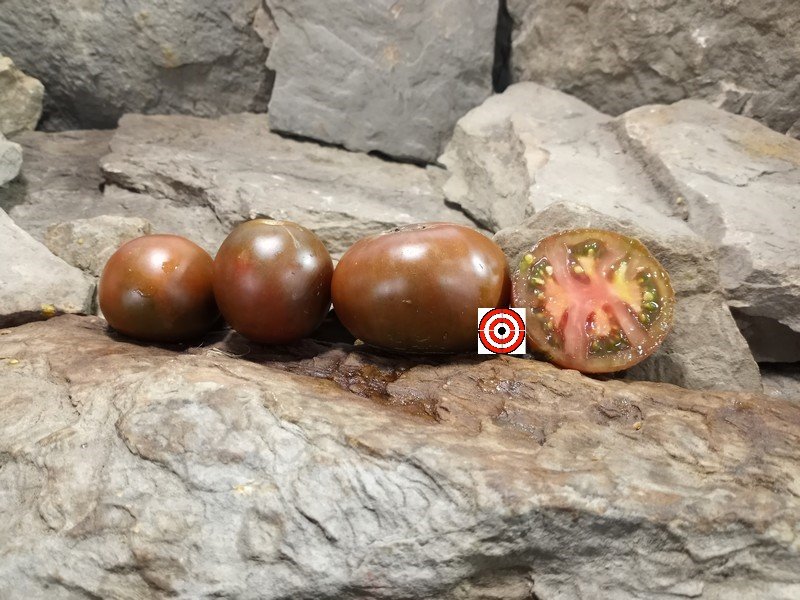 A Popular Black Tomato Black Yum Yum Tomato Seeds For Sale Here.