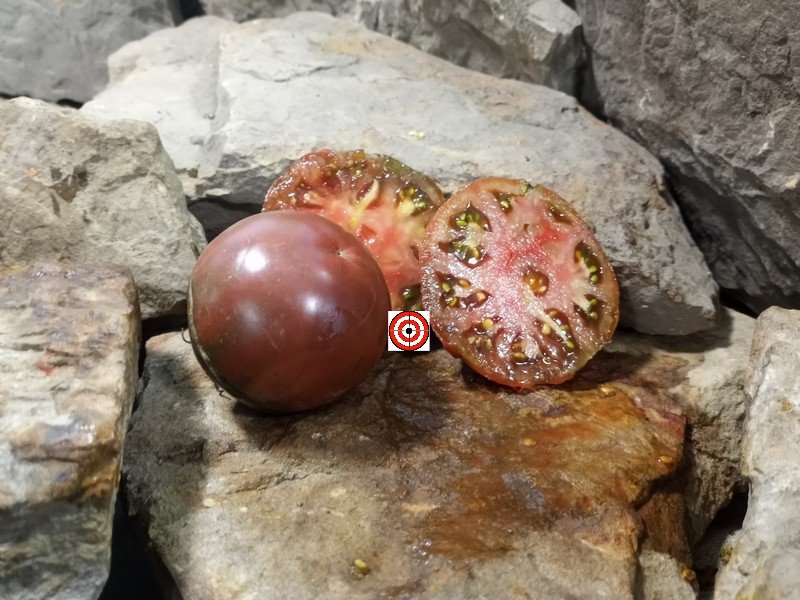 A Popular Black Tomato Chocolate Donuts Tomato Seeds For Sale Here.