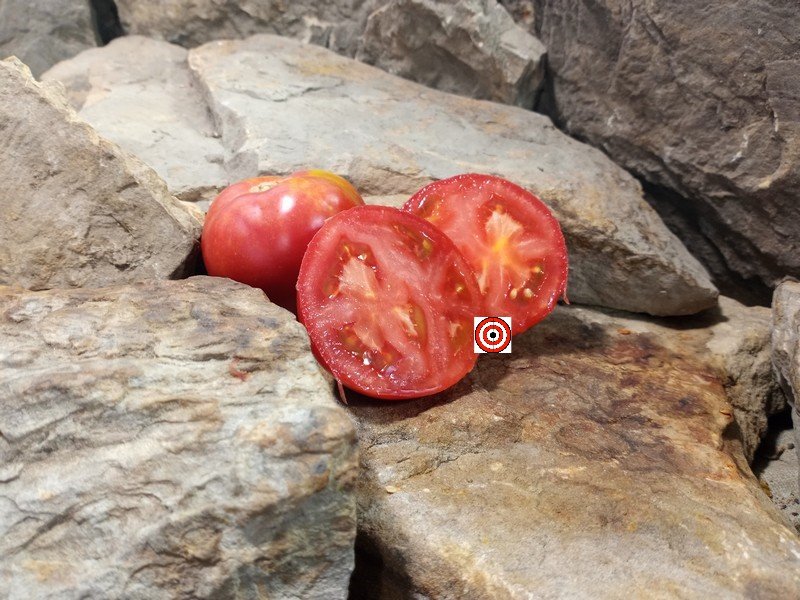 A Popular Red Tomato Bradley Tomato Seeds For Sale Here.