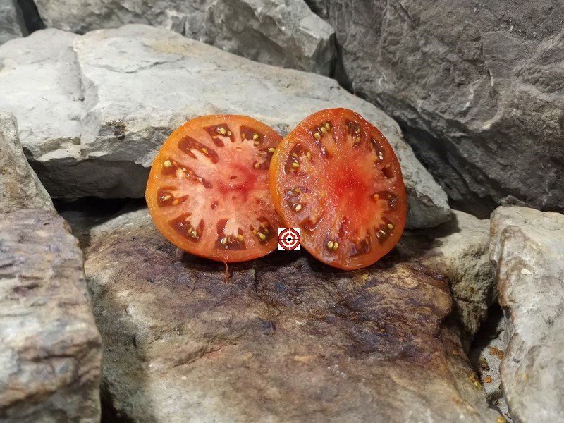 A Popular Slicing Tomato Blane's Surpriz Tomato Seeds For Sale Here.