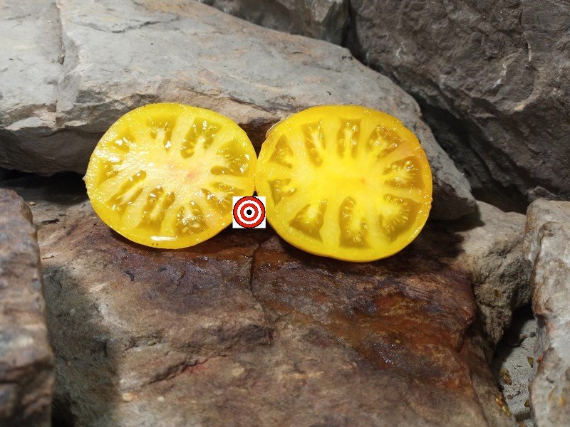 A Popular Slicing Tomato Coral Queen Tomato Seeds For Sale Here.