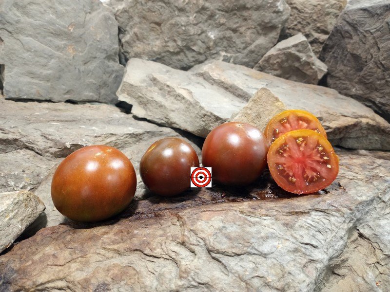 A Popular Snacking Tomato Black Prince Tomato Seeds For Sale Here.