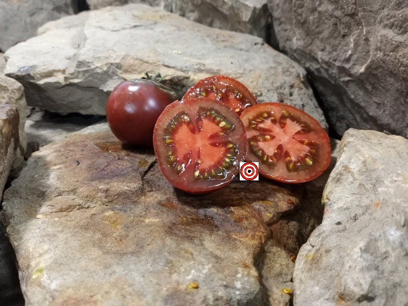 The Best Black Tomato Copper Pipe Tomato Seeds Available Here.