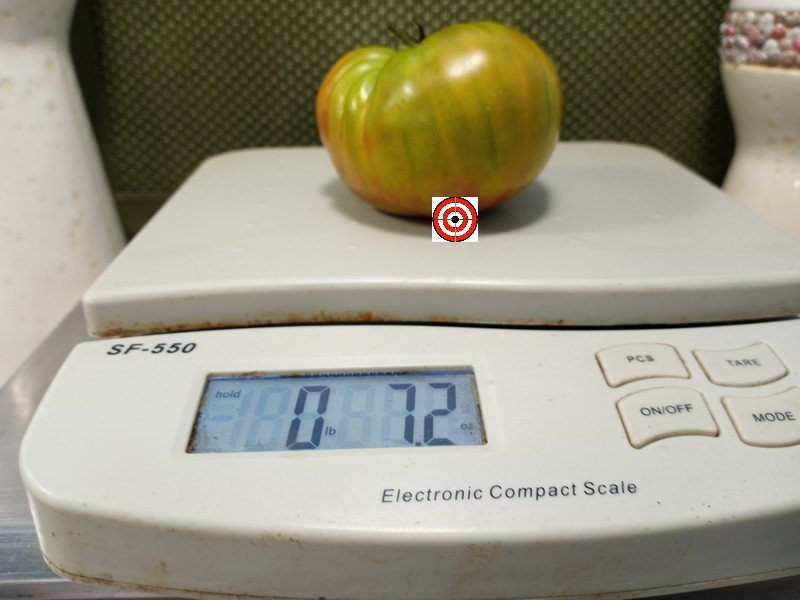 The Best Green Tomato Copper River Tomato Seeds Available Here.