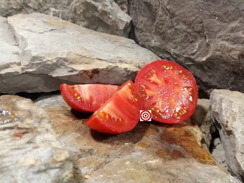 The Best Heirloom Tomato Burbank Tomato Seeds For Sale Here.