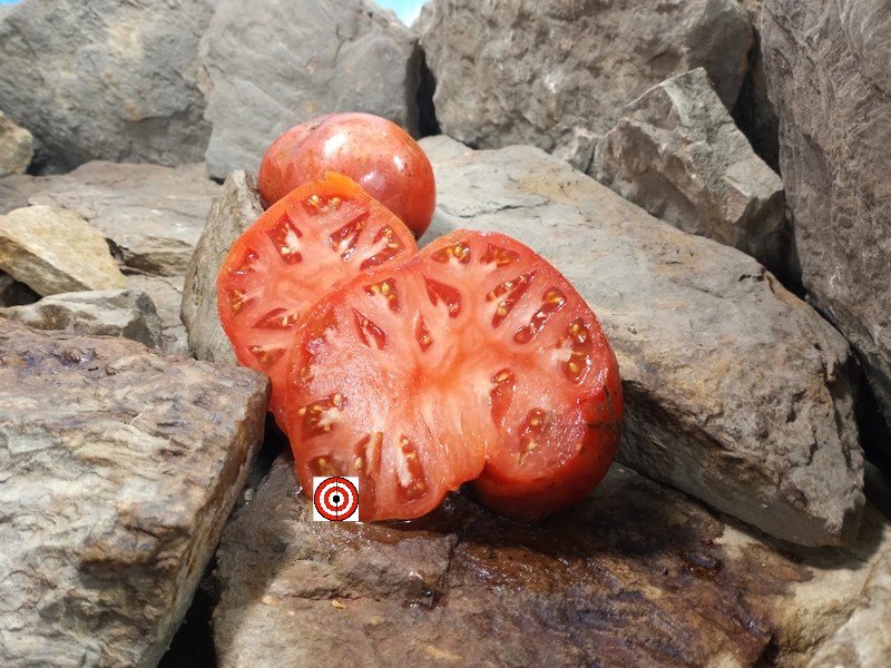 The Best Heirloom Tomato Cody Pink Tomato Seeds Available Here.