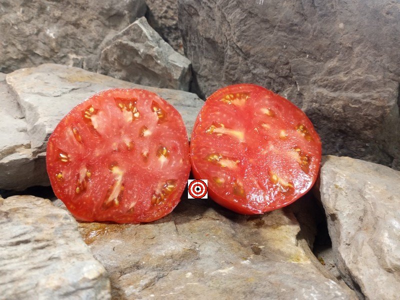 The Best Red Tomato Brandywine Sudduth Tomato Seeds Available Here.