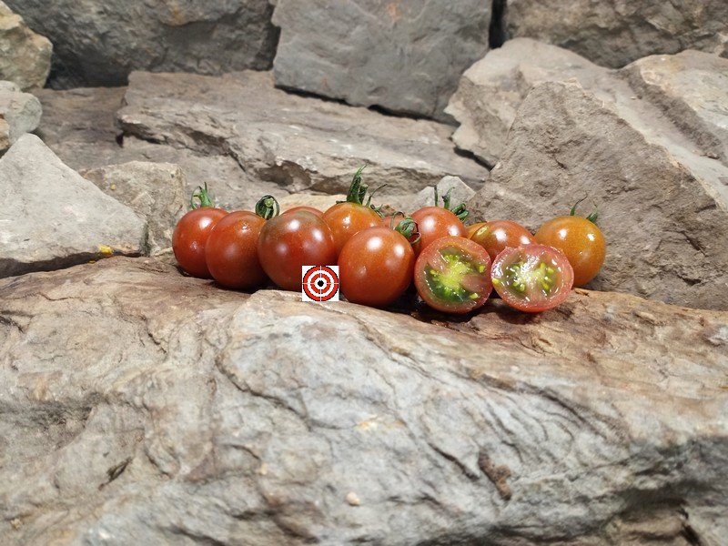 The Best Salad Tomato Blackie Cherry Tomato Seeds Available Here.