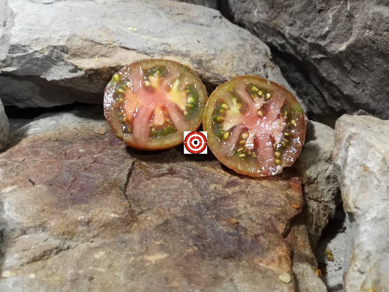 The Best Sandwich Tomato Black Yum Yum Tomato Seeds Available Here.