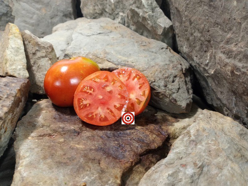The Best Sandwich Tomato Buckbees New 50 Day Tomato Seeds Available Here.