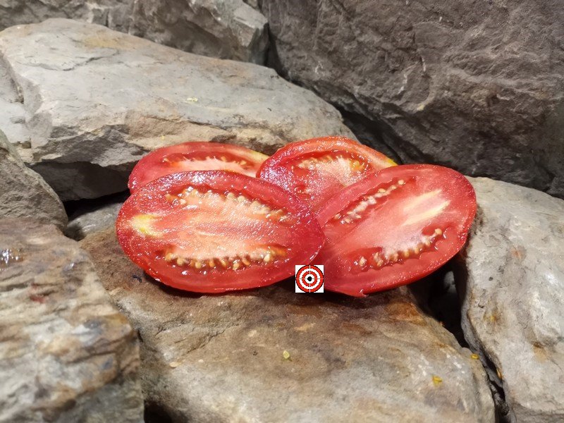The Best Sauce Tomatoes Budenovka Tomato Seeds Available Here.