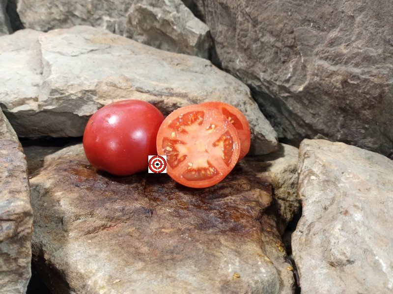 The Best Slicing Tomato Bradley Tomato Seeds Available Here.