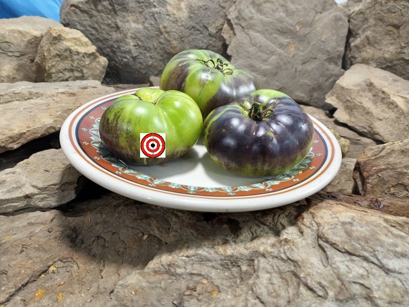 The Best Slicing Tomato CI17 Tomato Seeds Available Here.