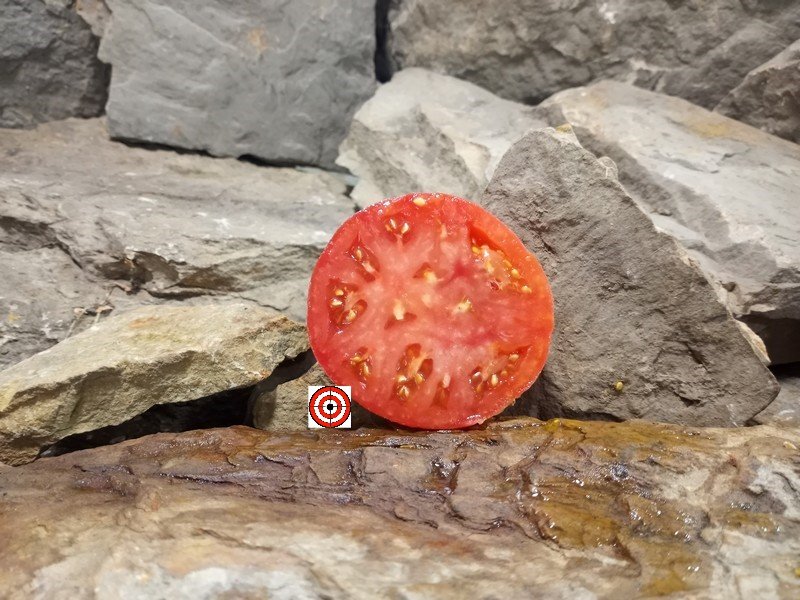 The Best Red Tomato Columbus Mississippi Red Tomato Seeds Available Here.