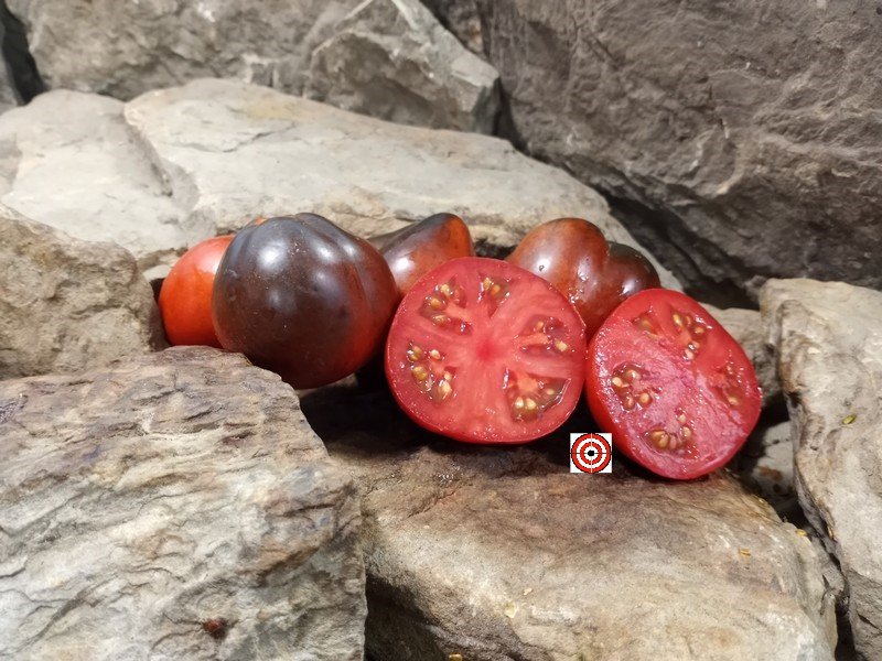 A Popular Blue Tomato Dark Lord Tomato Seeds For Sale Here.