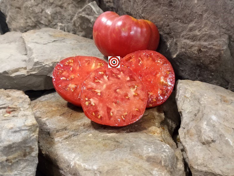 A Popular Pink Tomato Dwarf Crazy Calliope Tomato Seeds For Sale Here.