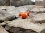 AMC Tomato Red Tomatoes