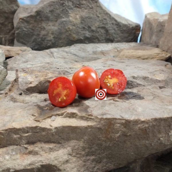 AMC Tomato Seeds