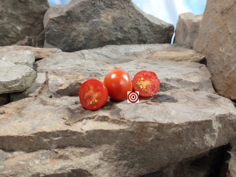 AMC Tomato Seeds