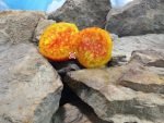 Bill Haywood Tomato Sandwich Tomatoes