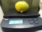 Blasphemous Rumors Tomato Large Tomatoes