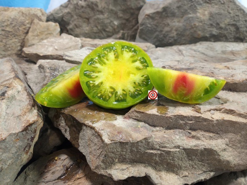 Blasphemous Rumors Tomato