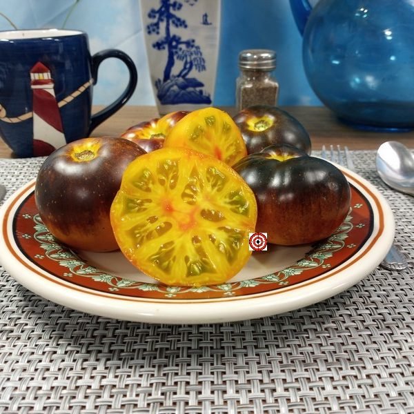 Ch Check It Out Tomato