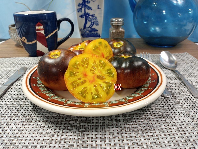 Ch Check It Out Tomato