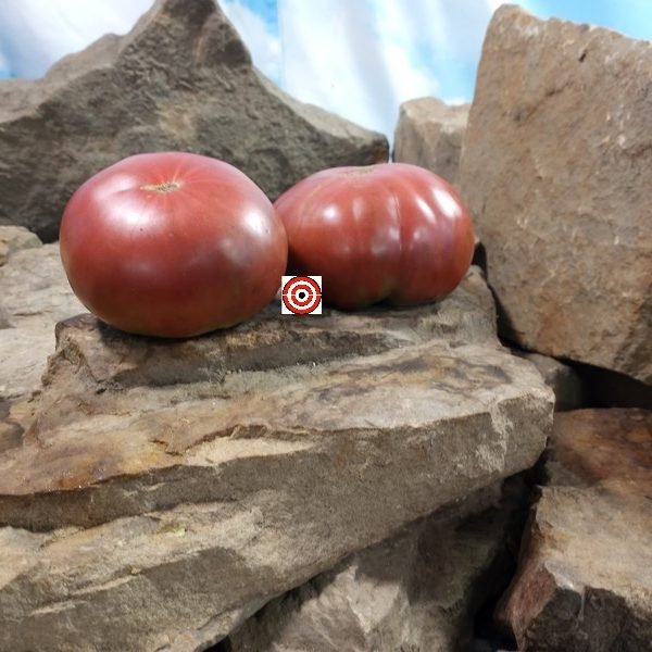 Cowboy Tomato