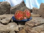 Cowboy Tomato Seeds