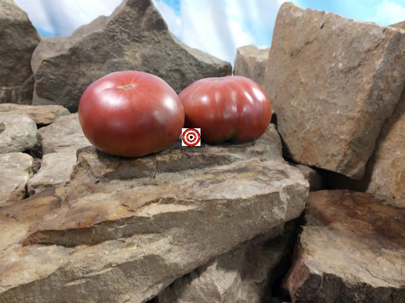 Cowboy Tomato