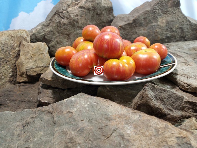 Deans Brad Gates Tomato