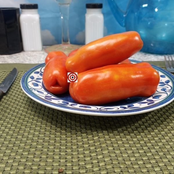 Dwarf Auria Tomato