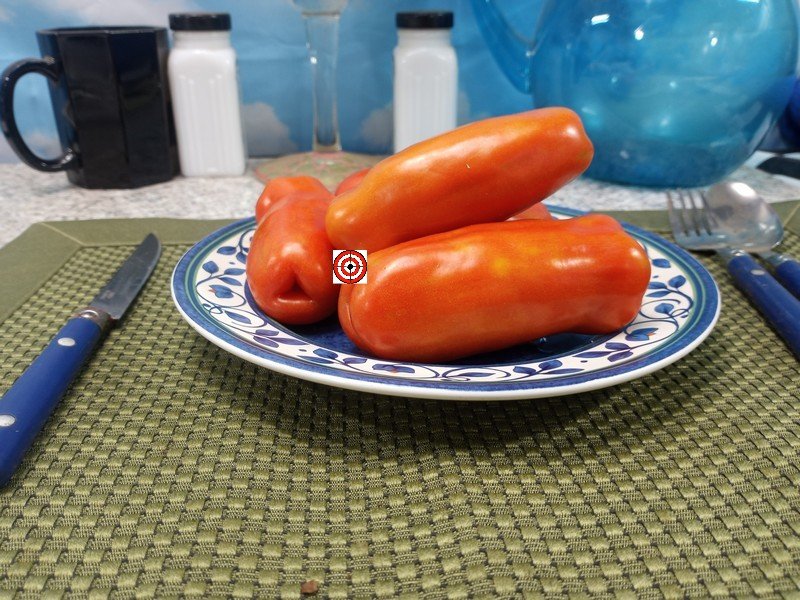 Dwarf Auria Tomato