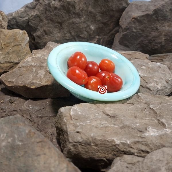 Dwarf Baby Micro Tomato
