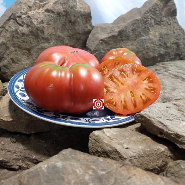 Dwarf Betty Smiles Tomato