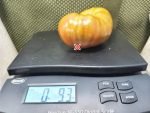 Dwarf Black Wizard Tomato Container Tomatoes