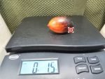 Dwarf Chef Paul Bocuse Tomato Blue Tomatoes