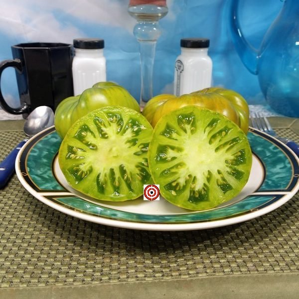 Dwarf Echo Tomato