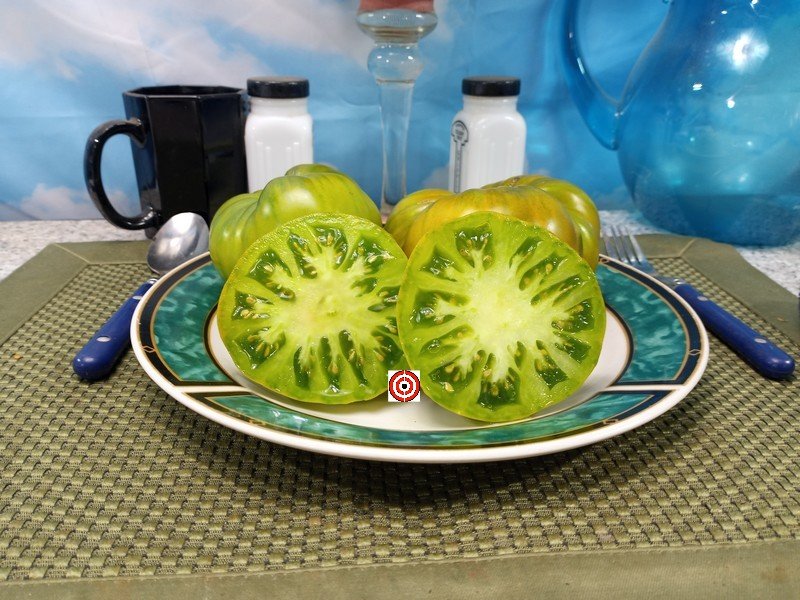 Dwarf Echo Tomato
